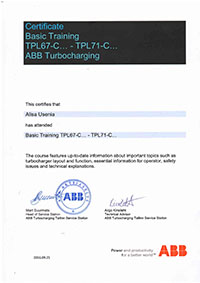 A_Usenya_Certificate_TPL